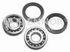 FLENNOR FR960524 Wheel Bearing Kit